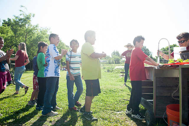 Apple Seeds Kids